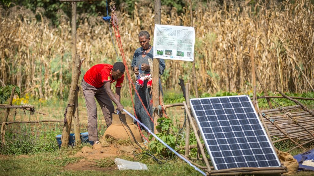 Solar irrigation Ethiopia. Photo: Mulugeta Ayene/WLE.