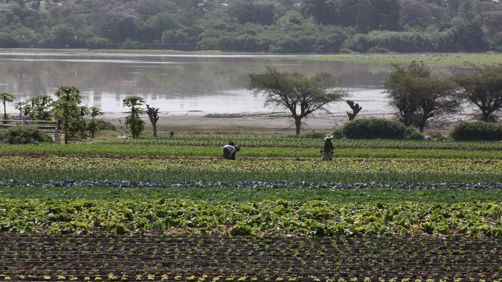 Fields and water in Ethiopia. Nena Terrell/USAID.