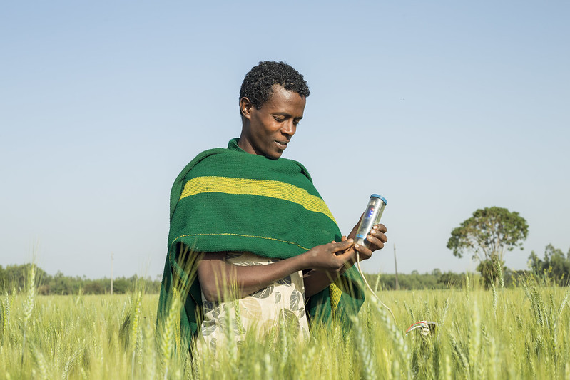 Mequanent Tena, 20, works as a data collector at the Qoga site near Bahirdar in Ethiopia. More than 1,068 farmers benefit from the use of Chameleon sensor, an irrigation scheduling tool, which primarily uses color to indicate when farmers have irrigated just the right amount.