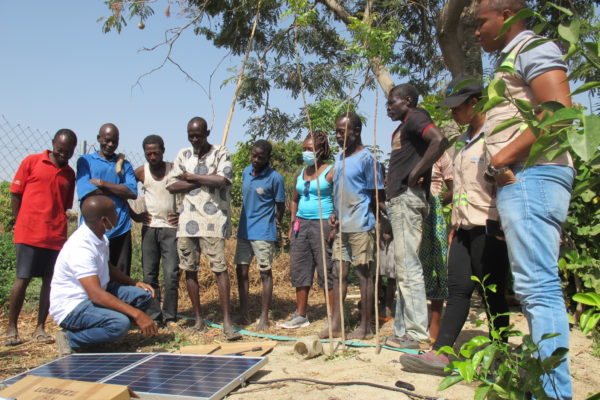 Farmers with solar panels