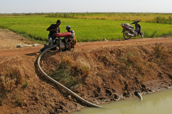 Pumping in a drain, San irrigated scheme, Mali/