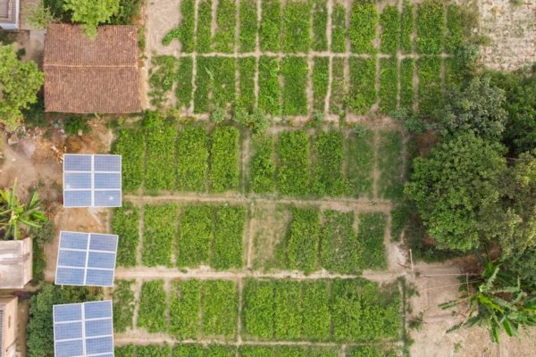 Solar panels on farm, here in India.