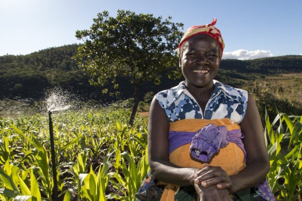 Sprinkler irrigation in Eastern Highlands on the Mozambique border